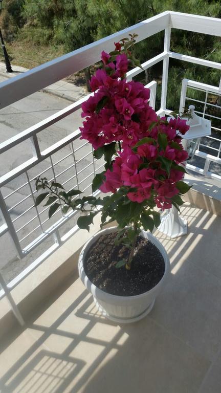 Grcka-Reni Greece Beach Nea Kallikrateia Ngoại thất bức ảnh